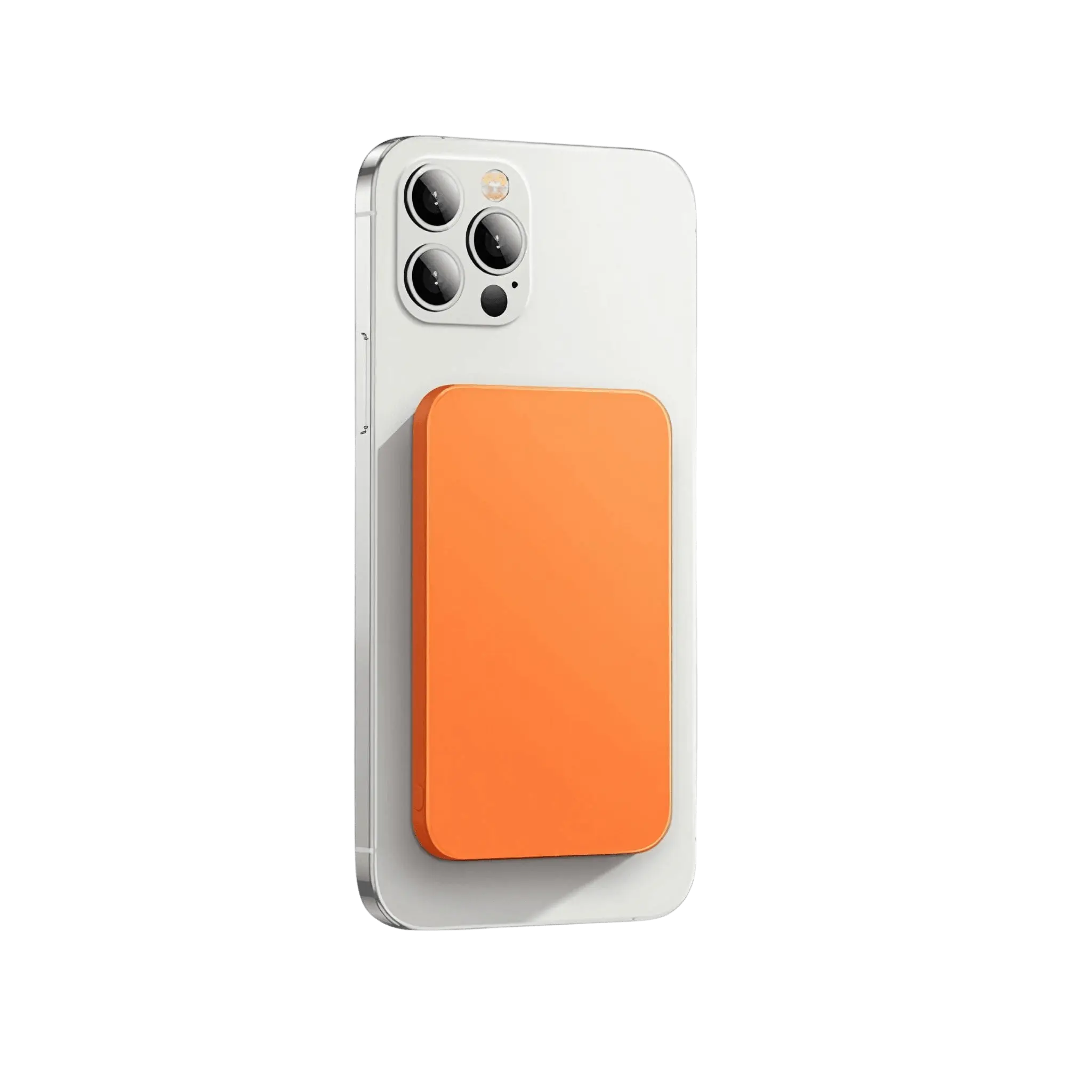 MagBank Pro